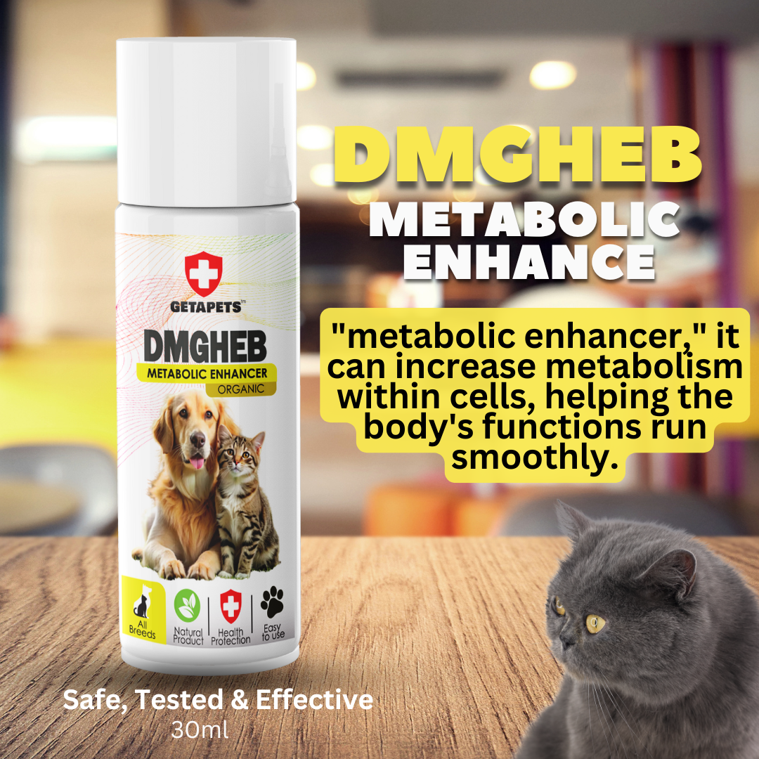 DMGHEB Immun Bosster Meningkatkan Kardiovaskular Haiwan (30ml)