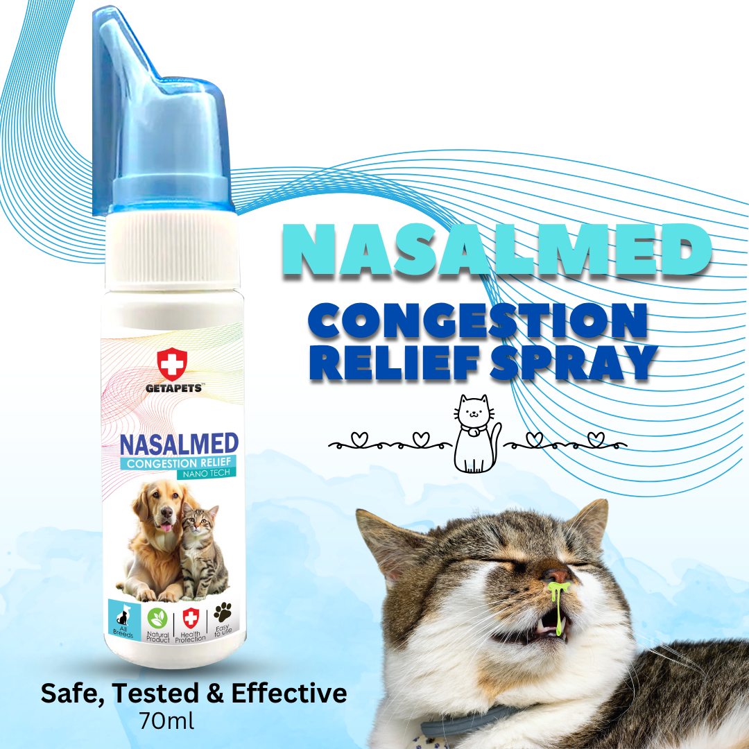 Nasalmed kucing/anjing demam selesma ulser (40ml)