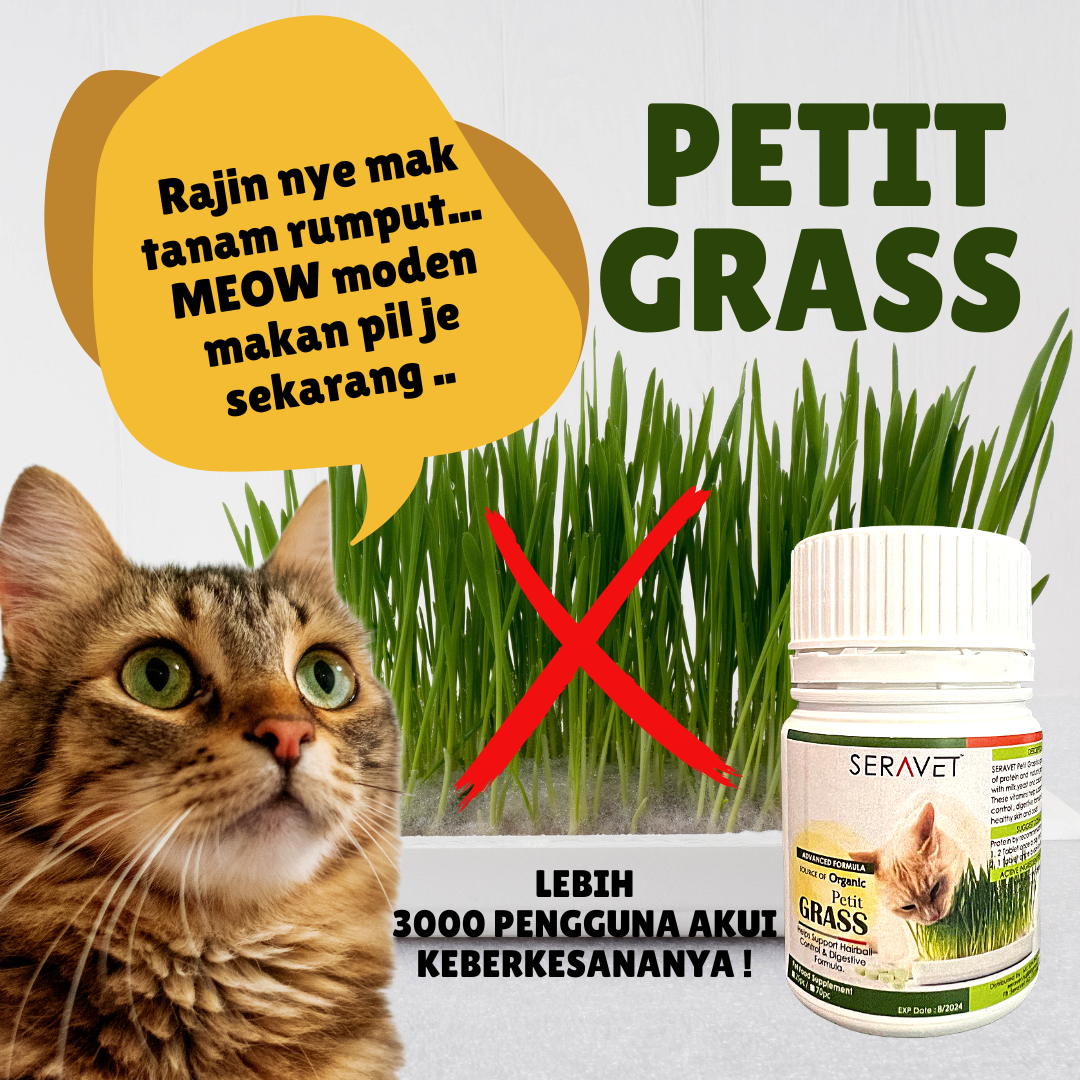 Petit Grass Tab kucing tercekik hairball penghadaman