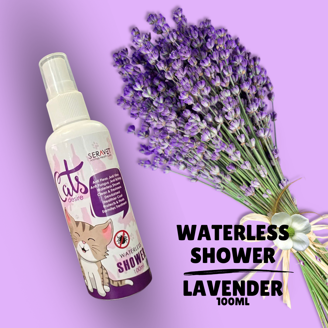 Lavender Cat Desire Waterless shower