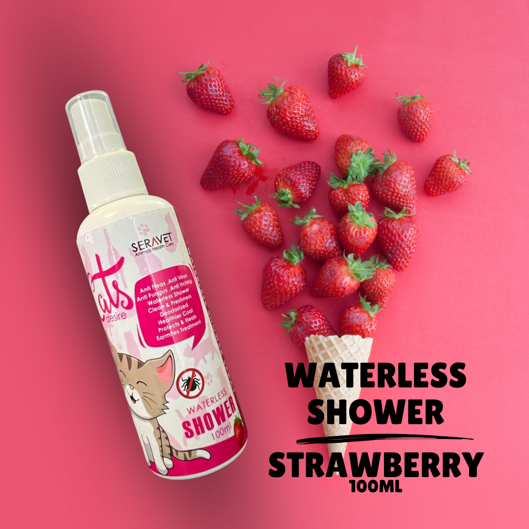 Strawberry Cat Desire Waterless Shower