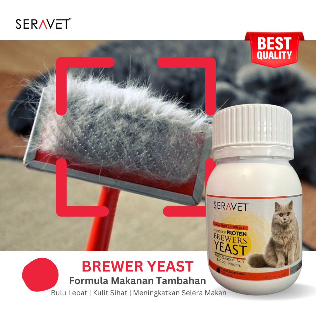 BREWER YEAST kesihatan bulu menaikkan berat badan