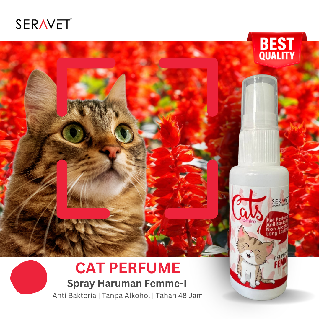 PERFUME femme-i pet perfume (40ml)