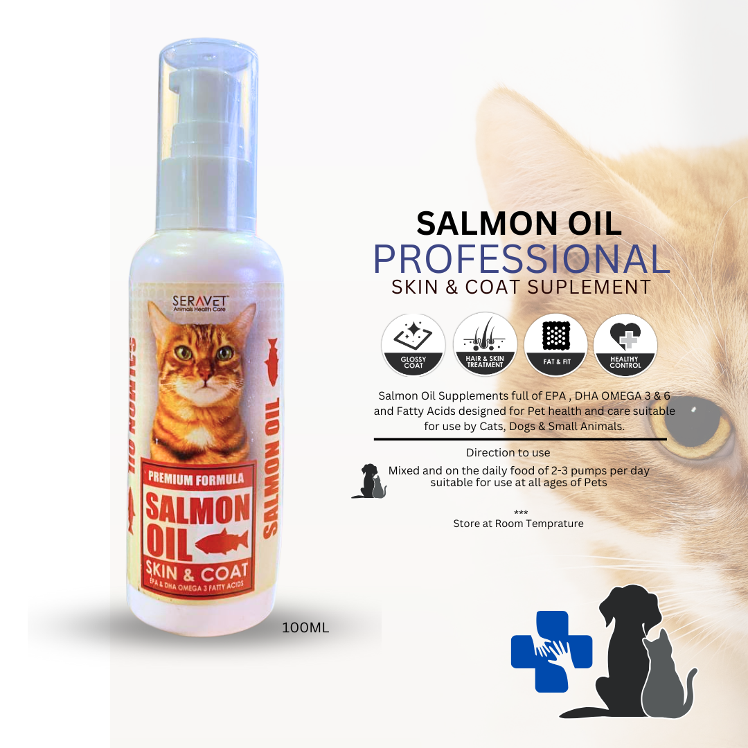 SALMON OIL kecantikan kulit gigi kucing/anjing