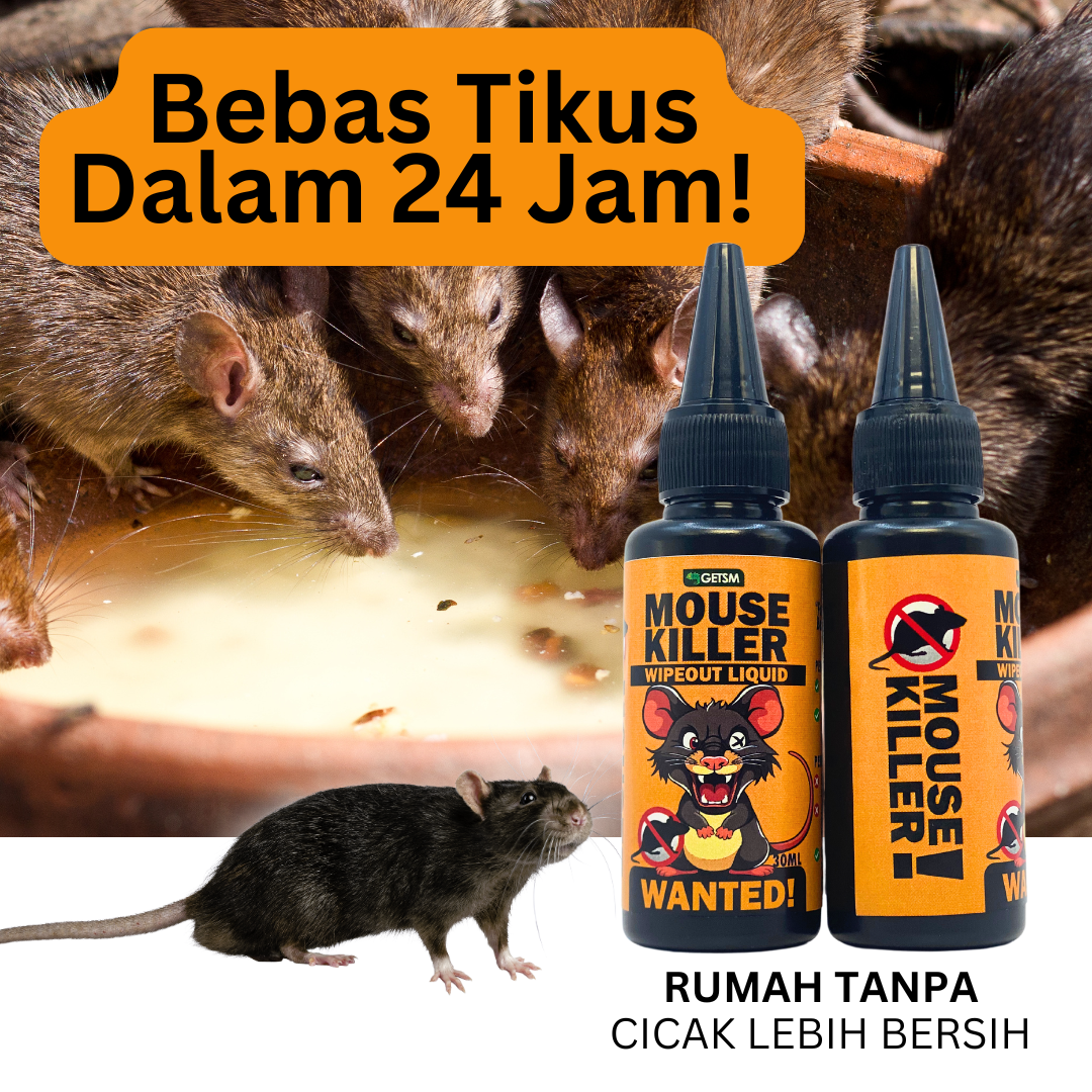 Mouse Killer menhapuskan tikus busuk